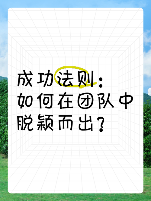 运用技巧，脱颖而出