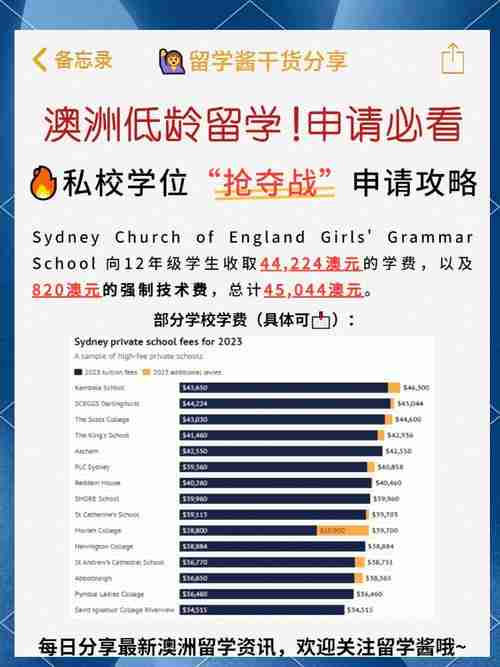 在澳洲怎么混出头？5招实用技巧让你轻松脱颖而出！
